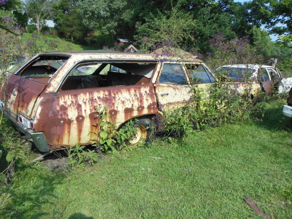 Stark wrecking yard, Dayton OH